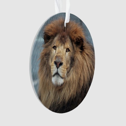 Lambert - ornament (Vorderseite)