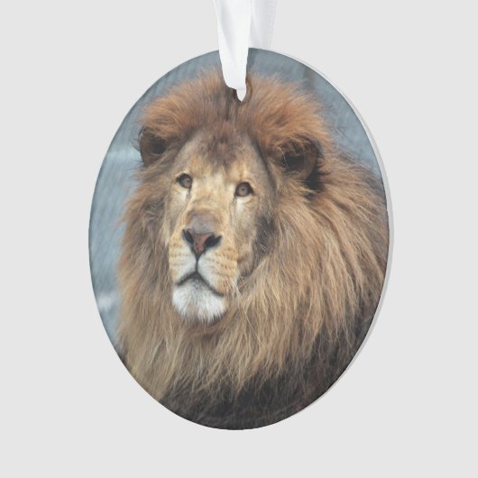 Lambert - ornament (Vorderseite)