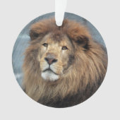 Lambert - ornament (Vorderseite)