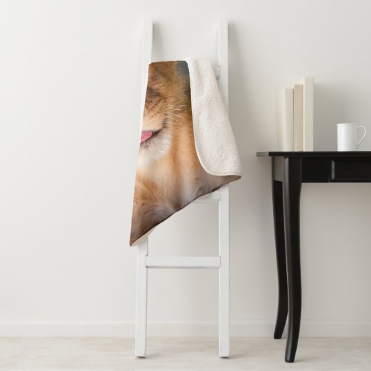 Lambert Sherpadecke (Beispiel)