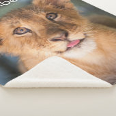 Lambert Sherpadecke (3/4)