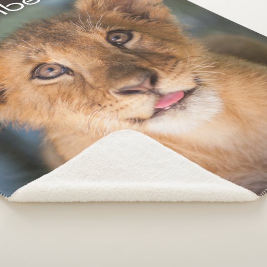 Lambert Sherpadecke (3/4)