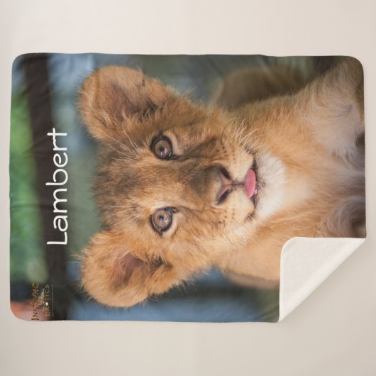 Lambert Sherpadecke (Vorderseite (Horizontal))