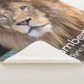 Lambert -  sherpadecke (3/4)