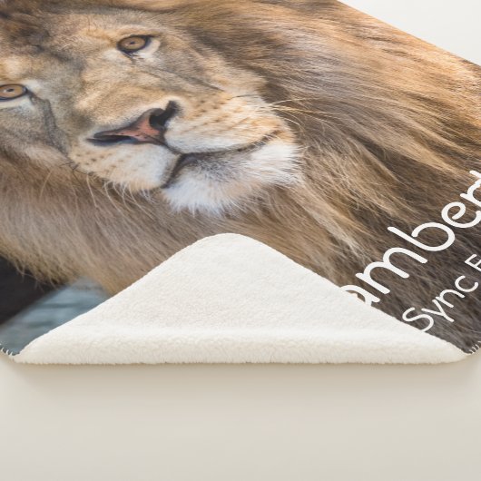 Lambert - sherpadecke (3/4)