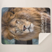 Lambert -  sherpadecke (Vorderseite (Horizontal))