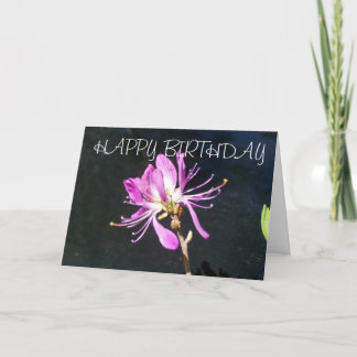 Lambskill Wildblume-Geburtstags-Karte Karte