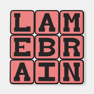 Lamebrain, dumm magnet