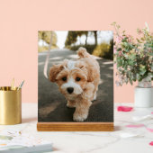 Lamina con foto de perro bonito tierno acrylschild (Hochzeit)