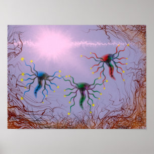 Laminat Poster