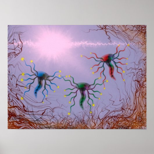 Laminate Poster (Vorne)