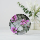 Lamium Maculatum Blume Einladung (Stehend Vorderseite)