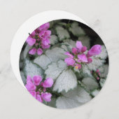 Lamium Maculatum Blume Einladung (Vorne/Hinten)