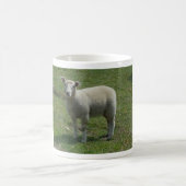 Lamm Bild Kaffeetasse (Mittel)