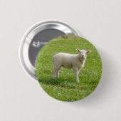 Lamm Button (Vorne & Hinten)