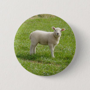 Lamm Button