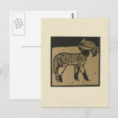 Lamm - Darstellung der Square Animals Postkarte (Vorne/Hinten)