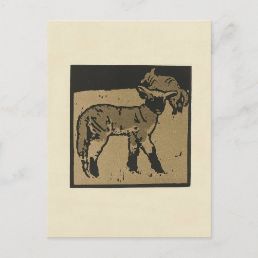 Lamm - Darstellung der Square Animals Postkarte (Vorderseite)