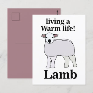 Lamm, das ein warmes Leben führt, lustiges Lamm Postkarte