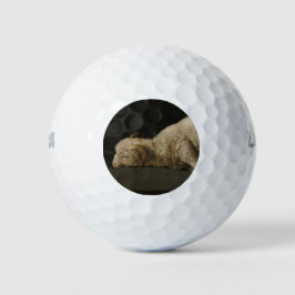 Lamm Gottes (Agnus Dei) (Opfertier) Golfball