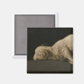 Lamm Gottes (Agnus Dei) (Opfertier) Magnet (Vorderseite/Rückseite)