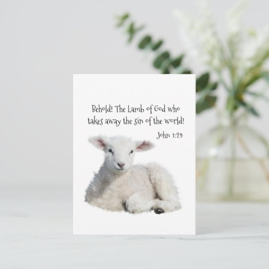 Lamm Gottes Postkarte (Stehend Vorderseite)