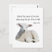 Lamm Gottes Postkarte (Vorne/Hinten)