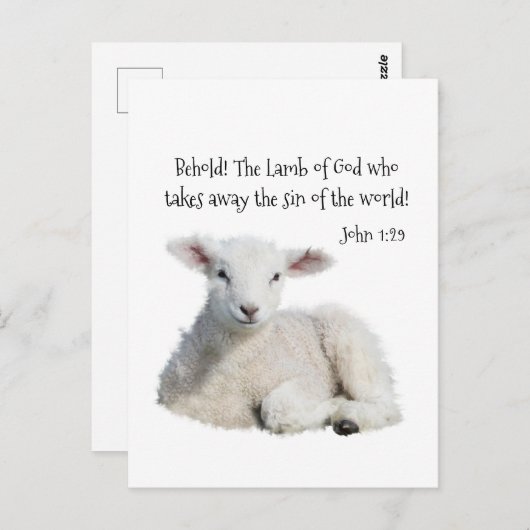 Lamm Gottes Postkarte (Vorne/Hinten)