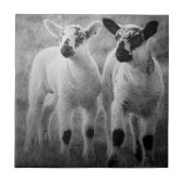 Lamm im Frühjahr Fliese (Vorderseite)