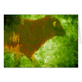 Lamm im Sternenfeld (Vorderseite (Horizontal))