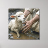 Lamm in Mud, von einem Hirten gerettet Leinwanddruck (Vorderseite)