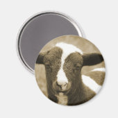 Lamm in Sepia Magnet (Vorderseite/Rückseite)