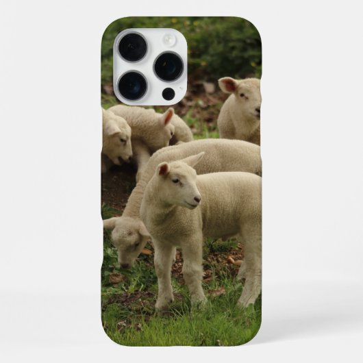 Lamm iPhone hülle (Rückseite)