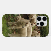 Lamm iPhone hülle (Rückseite (Horizontal))