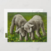 Lamm-Kampf Postkarte (Vorne/Hinten)