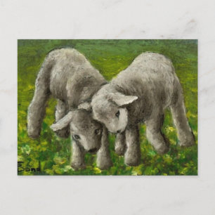 Lamm-Kampf Postkarte