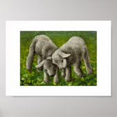 Lamm-Kampfdruck Poster (Vorne)