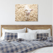 Lamm Leinwanddruck (Insitu (Schlafzimmer))