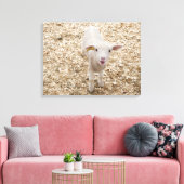 Lamm Leinwanddruck (Insitu (Wohnzimmer))