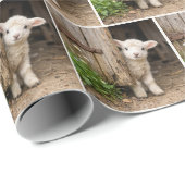 Lamm lugt hinter einer Scheunentür hervor Geschenkpapier (Rolleneckpunkt)