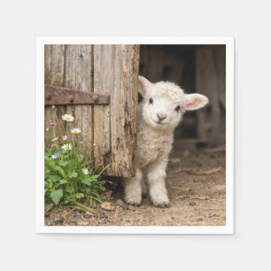 Lamm lugt hinter einer Scheunentür hervor Serviette