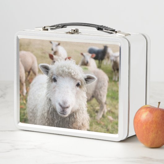 Lamm Metall Brotdose (Beispiel)