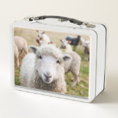 Lamm Metall Brotdose (Rückseite)