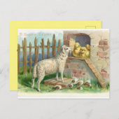 Lamm mit Chicks Urlaubspostkarte Feiertagspostkarte (Vorne/Hinten)