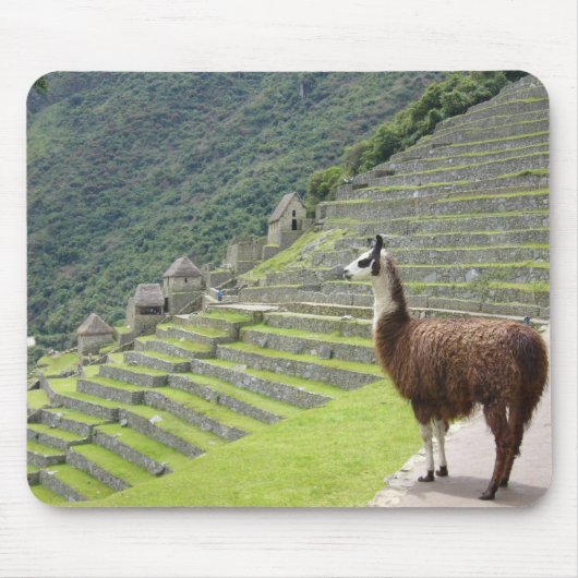 Lamm Mousepad (Vorne)