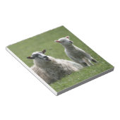 Lamm Notizblock (angewinkelt)