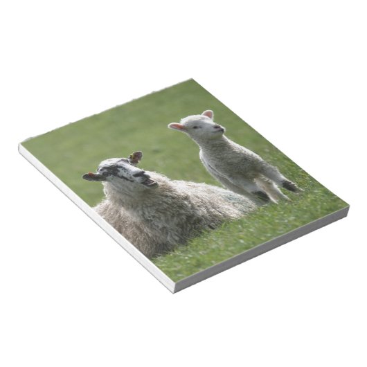 Lamm Notizblock (angewinkelt)