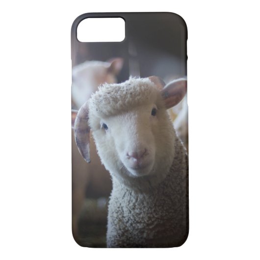 Lamm pausierte iPhone 8/7 Fall Case-Mate iPhone Hülle (Rückseite)