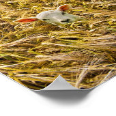 Lamm Poster (Ecke)