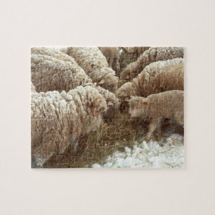 Lamm Puzzle